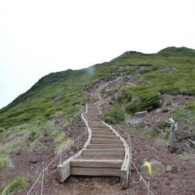 2012.6.17富良野岳9