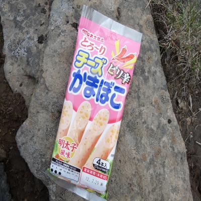 2012.6.17富良野岳15