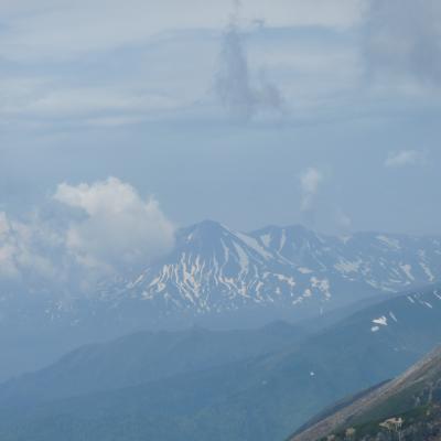 2012.6.17富良野岳19