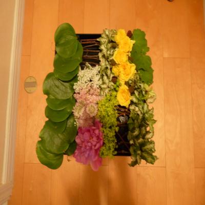 2012.6.200お花1