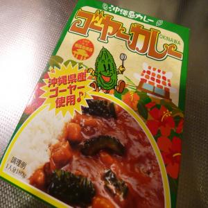 2012.1.10ご当地カレー