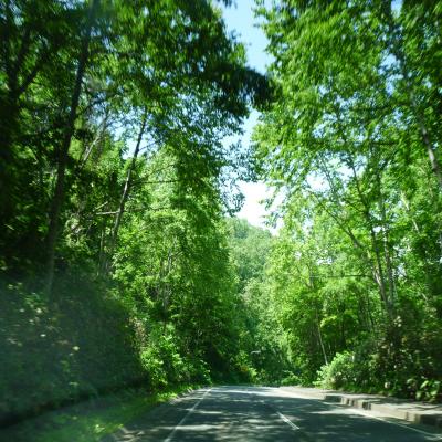 2012.7.9夏旅・洞爺湖偏3