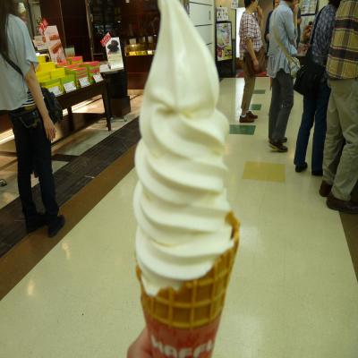 2012.7.10夏旅~庭めぐり11~