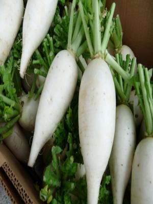 2012.7.14志比内