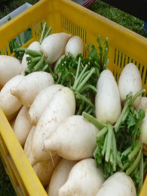 2012.7.21マルシェ2