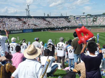 2012.8.22日ハム1