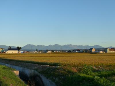 2012.9.6秋の味覚1