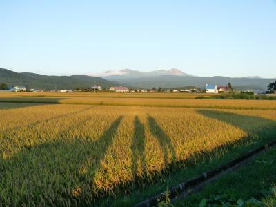 2012.9.6秋の味覚2