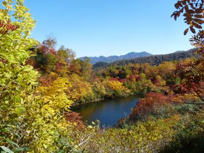 2012.10.11高原沼5