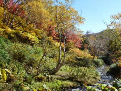 2012.10.11高原沼11