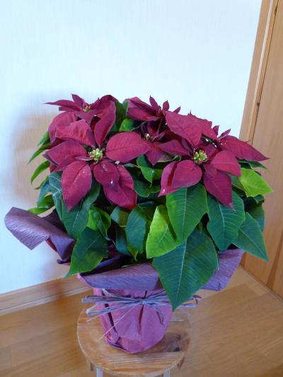2012.12.10クリスマス会13