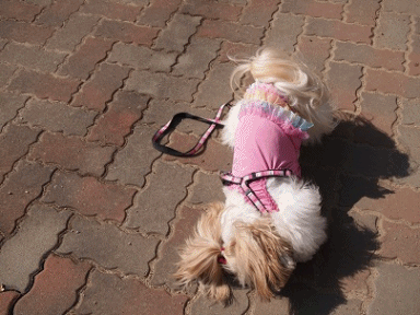1205125.gif