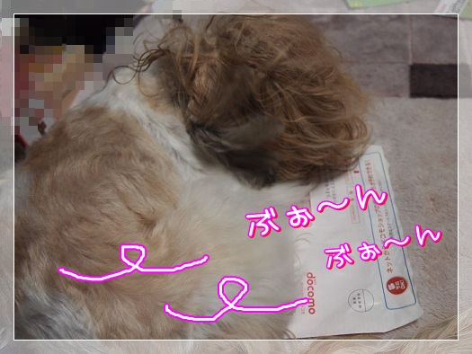 1205203.jpg