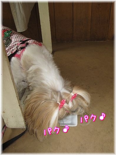 1206034.jpg