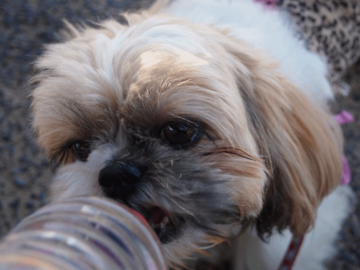 1208046.gif