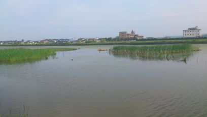 0525-3.jpg