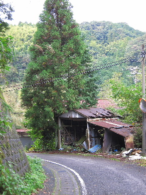 2012_1020大龍~勢0005