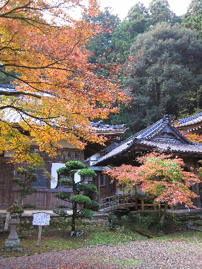 2012_1125紅葉の森へ0018