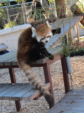 2012_1224日本平0004