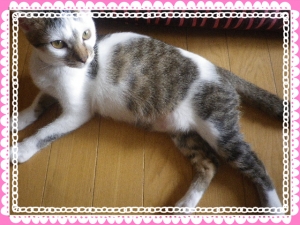 みずゑ
