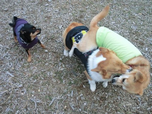 0_20121025222154.jpg
