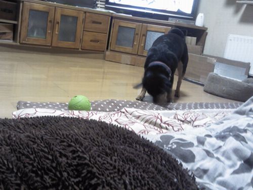 14_20130315210535.jpg