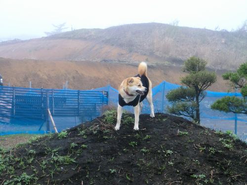 2_20120504223253.jpg
