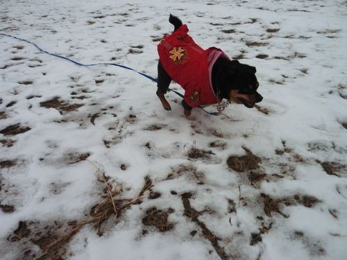 2_20130114142433.jpg