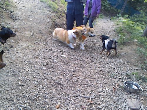 8_20120605221639.jpg