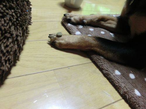 a_20120715203726.jpg
