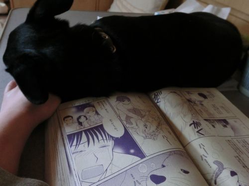 c_20120715203726.jpg