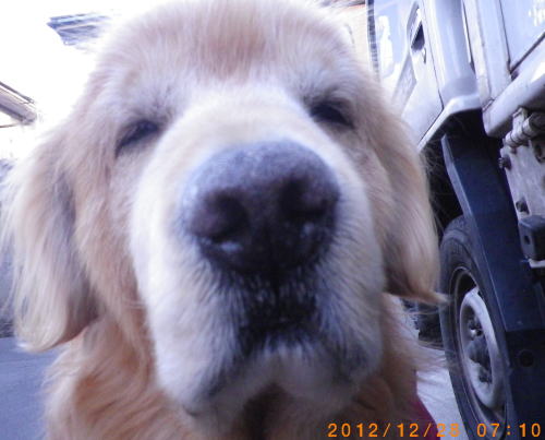 2012年12月27日のお料理と28日のラヴィン 009