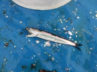 20120623_R.jpg