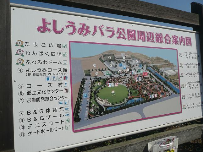 画像 056