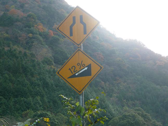 画像 008