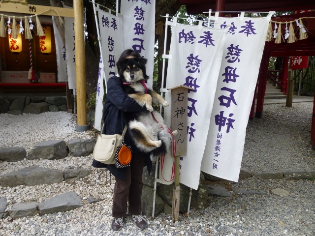女のコのお願い事を一つ聞いてくれるんだって。 (640x480)