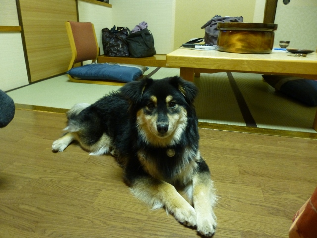 今日は疲れました。もう寝ます。 (640x480)