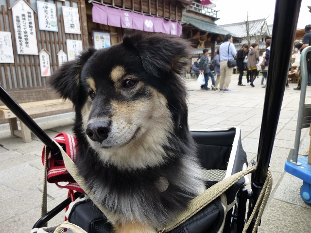 たくさん人がいますねぇ。 (640x480)