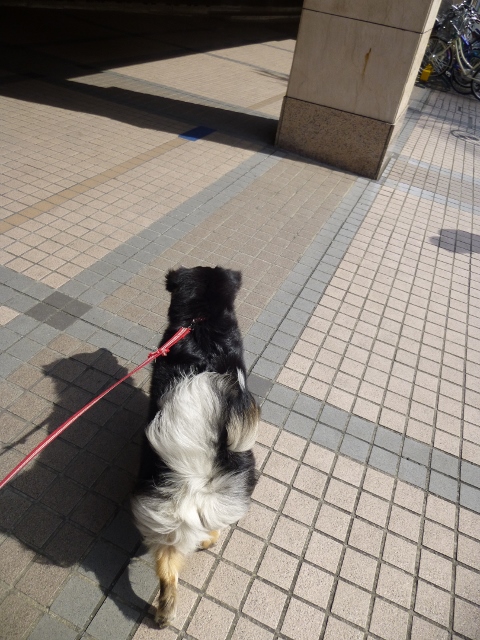 ママとお買い物