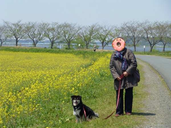 春らしい写真です