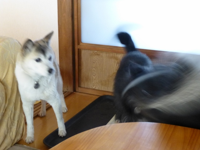 どんびき~。 (640x480)