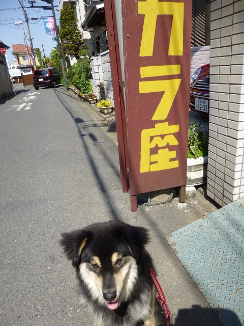 もぎりのバイトをしてみたいです