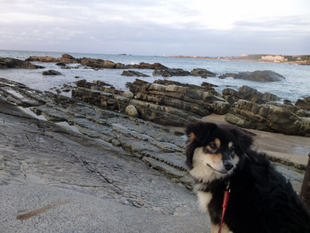 海縁までいってみました