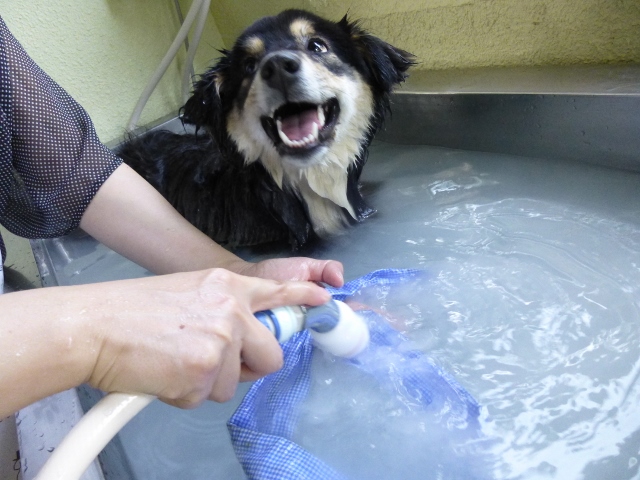 ママ。お風呂気持ちいいよ~