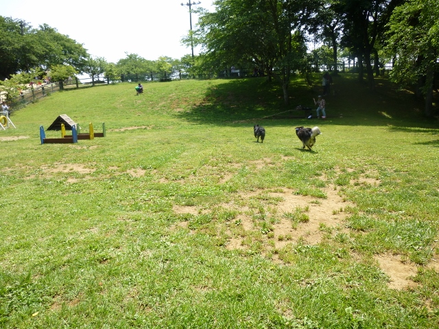 走る♪走る♪おれたち~。流れる汗もそのままに~♪