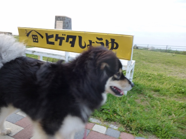 お醤油ってどんな味?