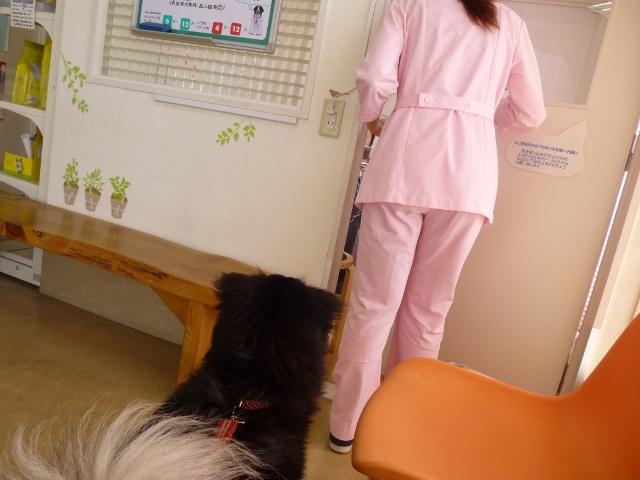 すみれは入れませんよ。