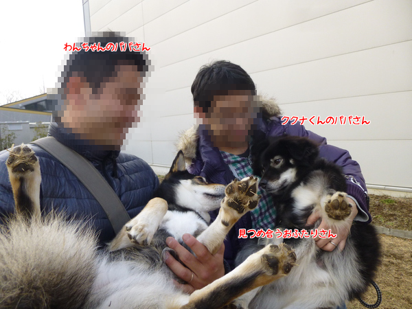 見つめあうおふたりさん