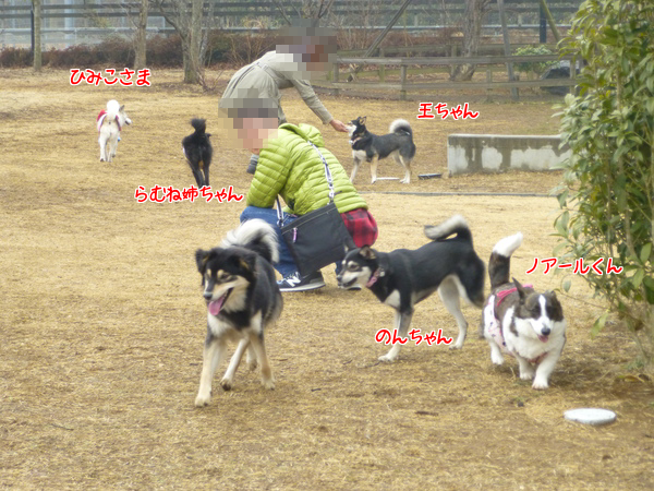 みんなで走る。走る。
