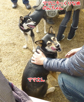 のんちゃんとママ